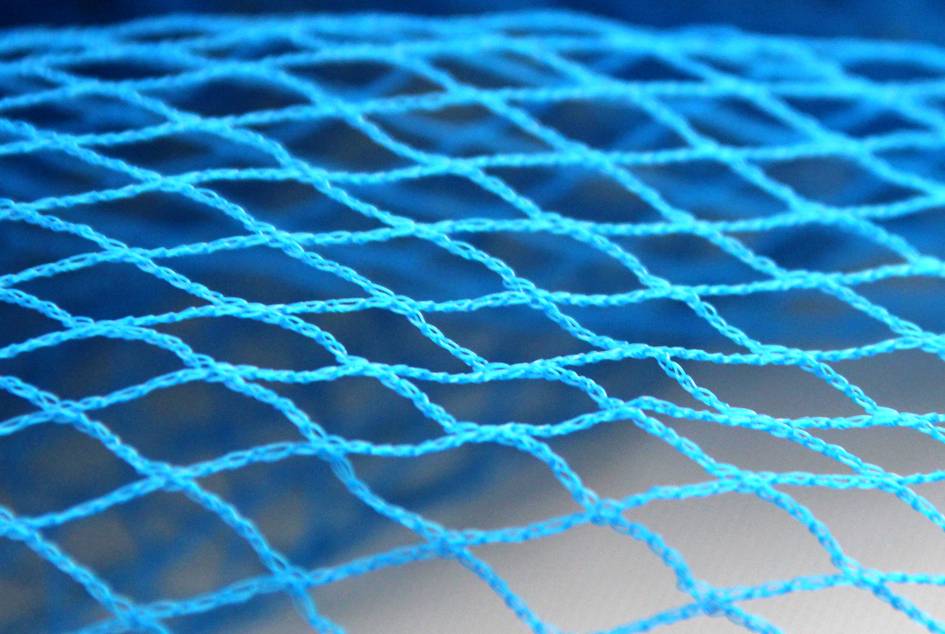 Blue bird-proof net