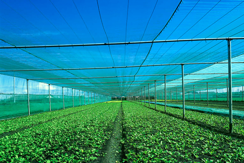 Greenhouse shading netting