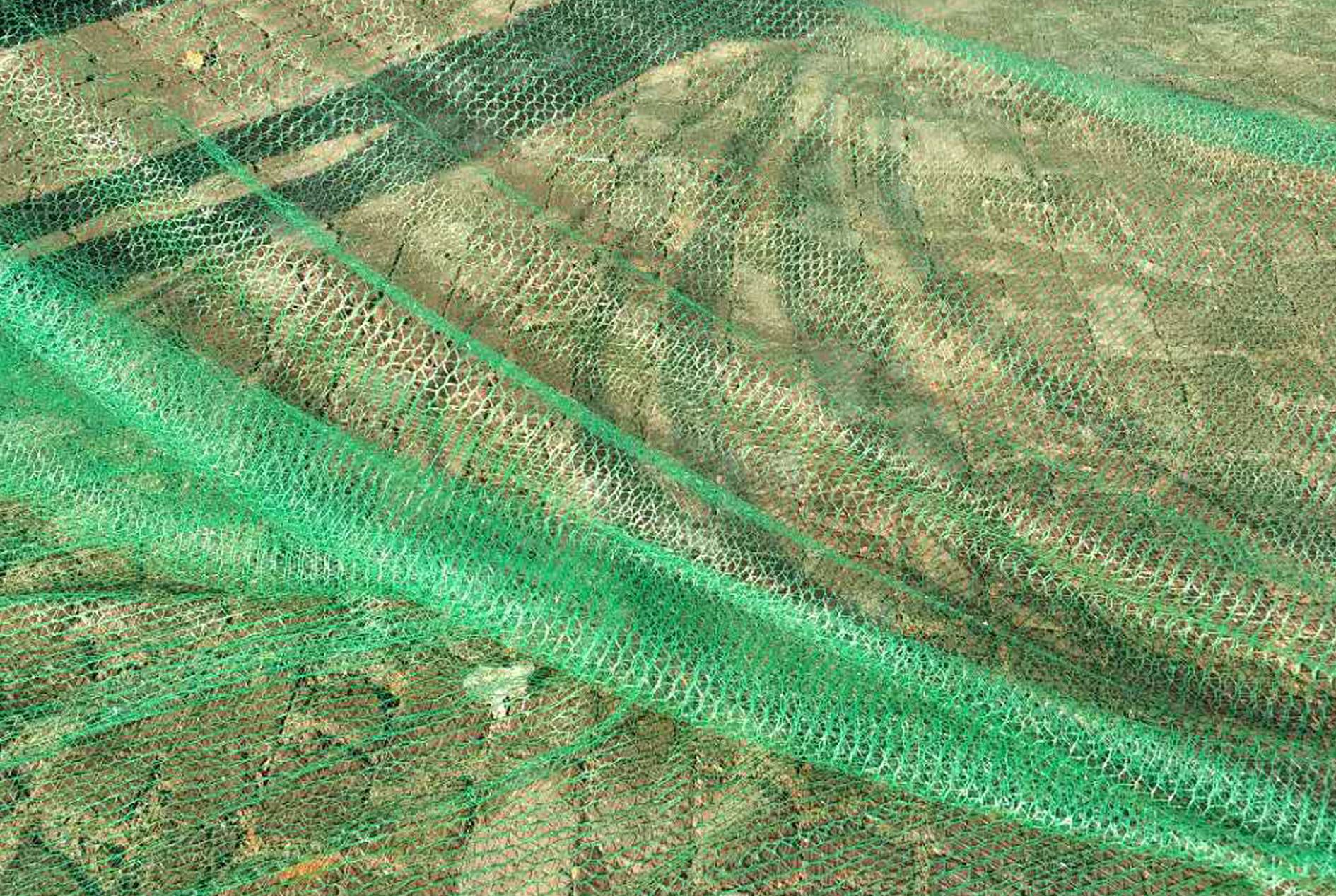 Flat wire dust-proof net