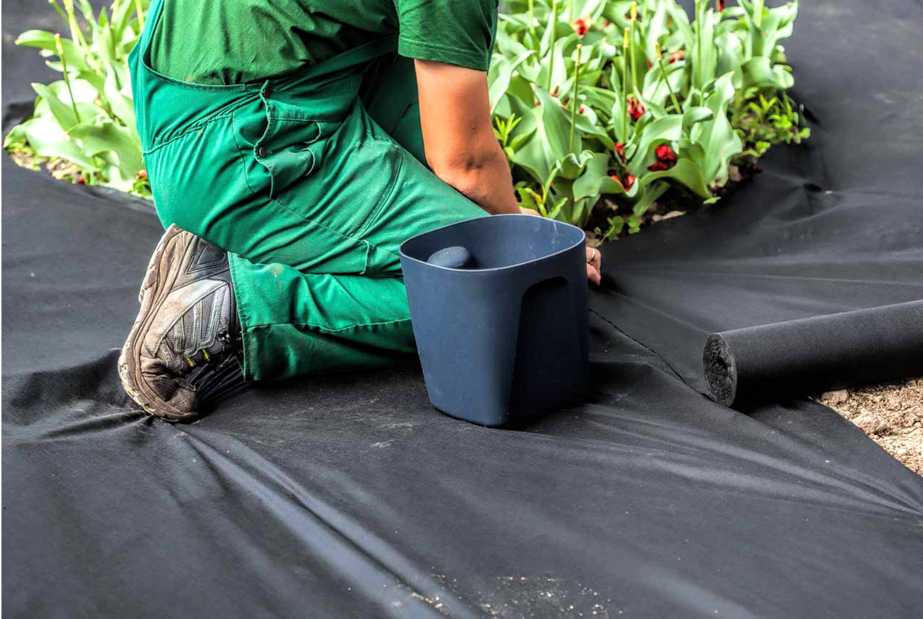 Weed Control Fabric Application Cases