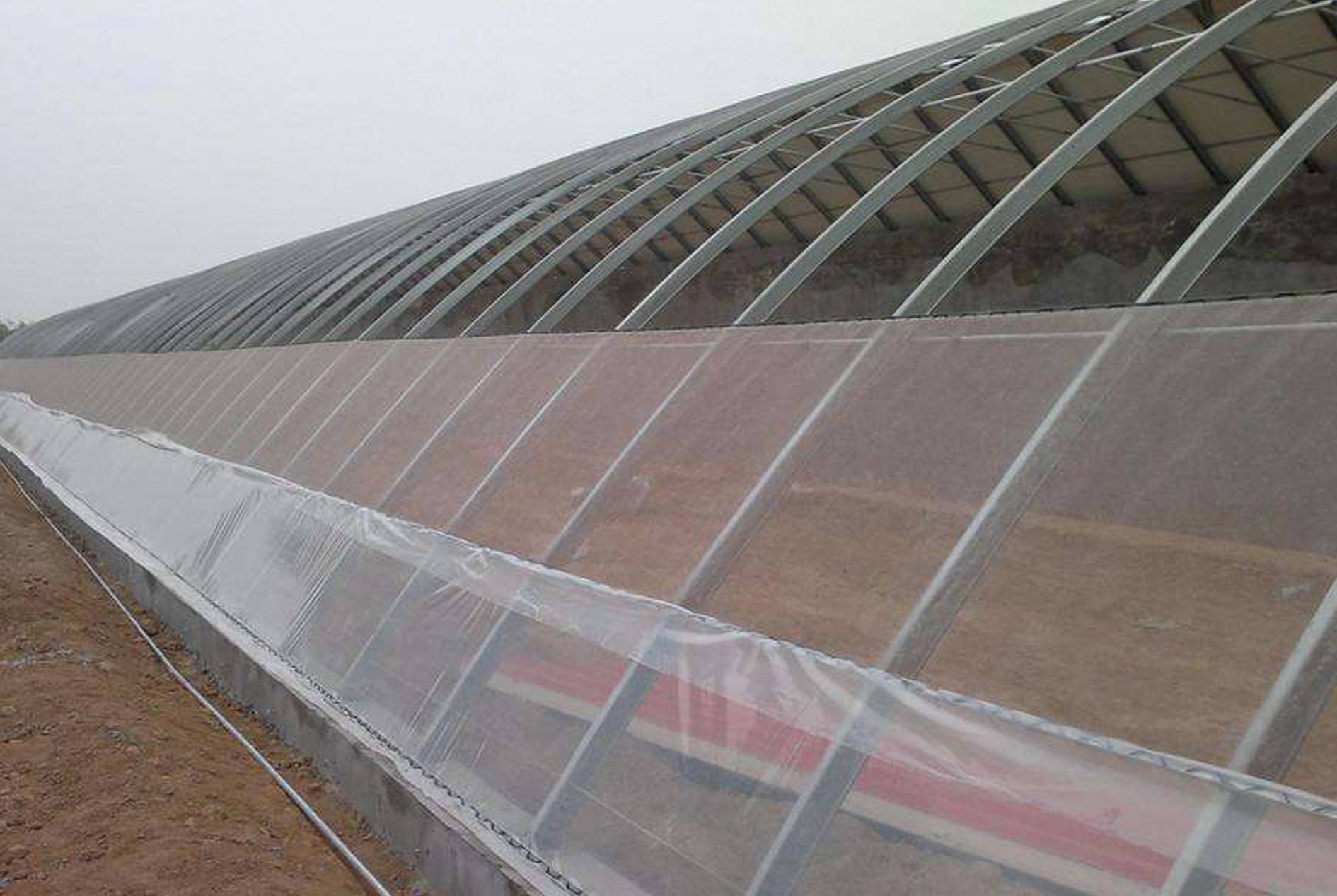 Insect-proof Net Application Cases