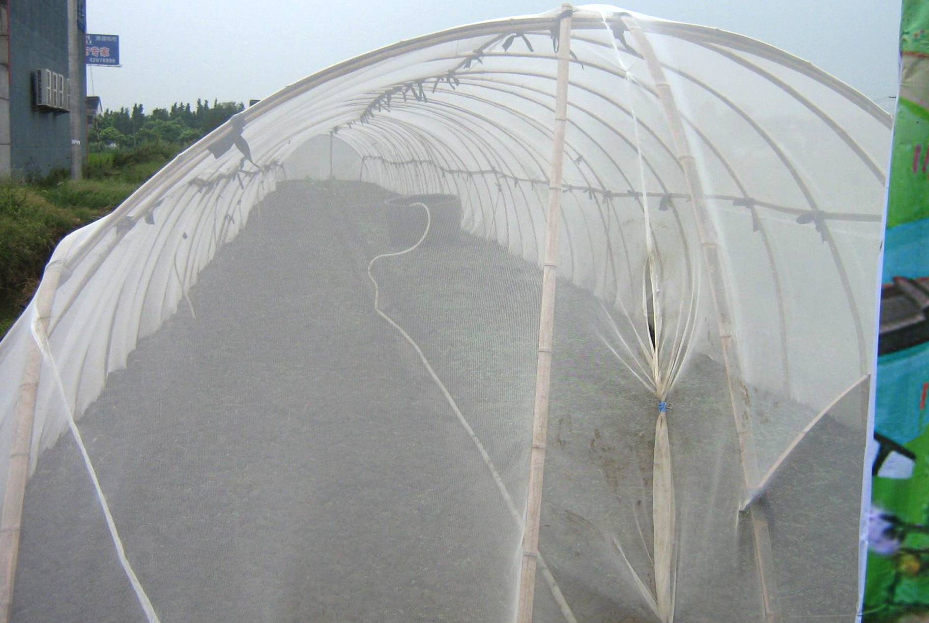 Insect-proof Net Application Cases