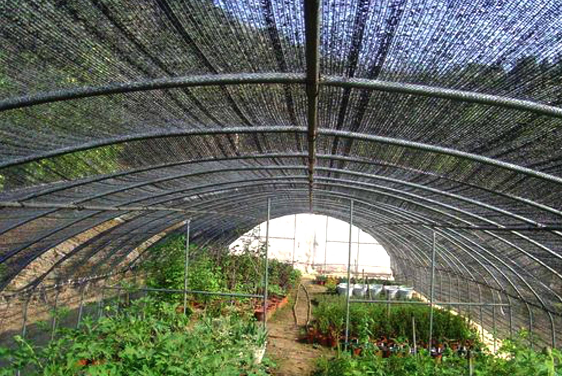 Tarpaulins