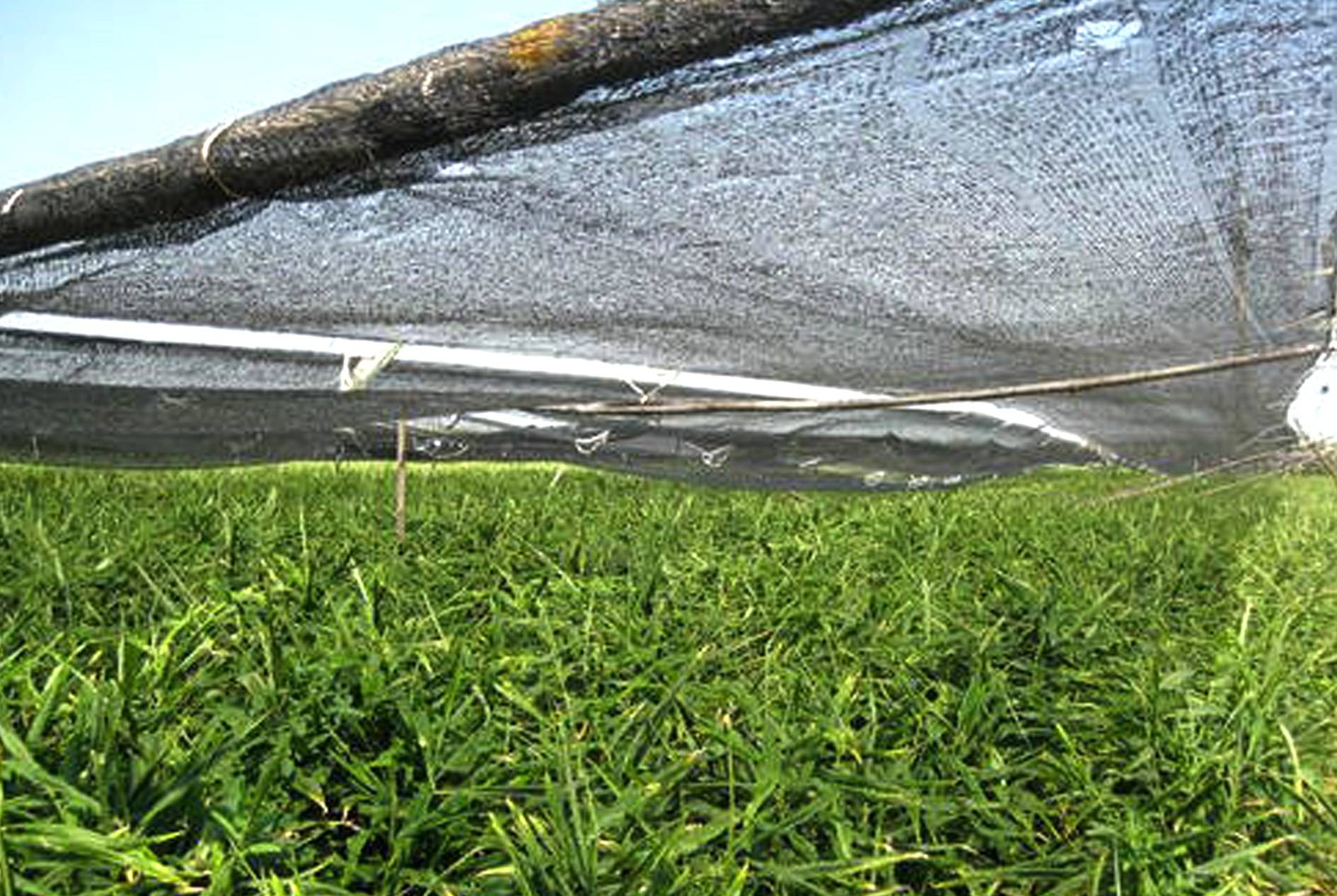 Tarpaulins