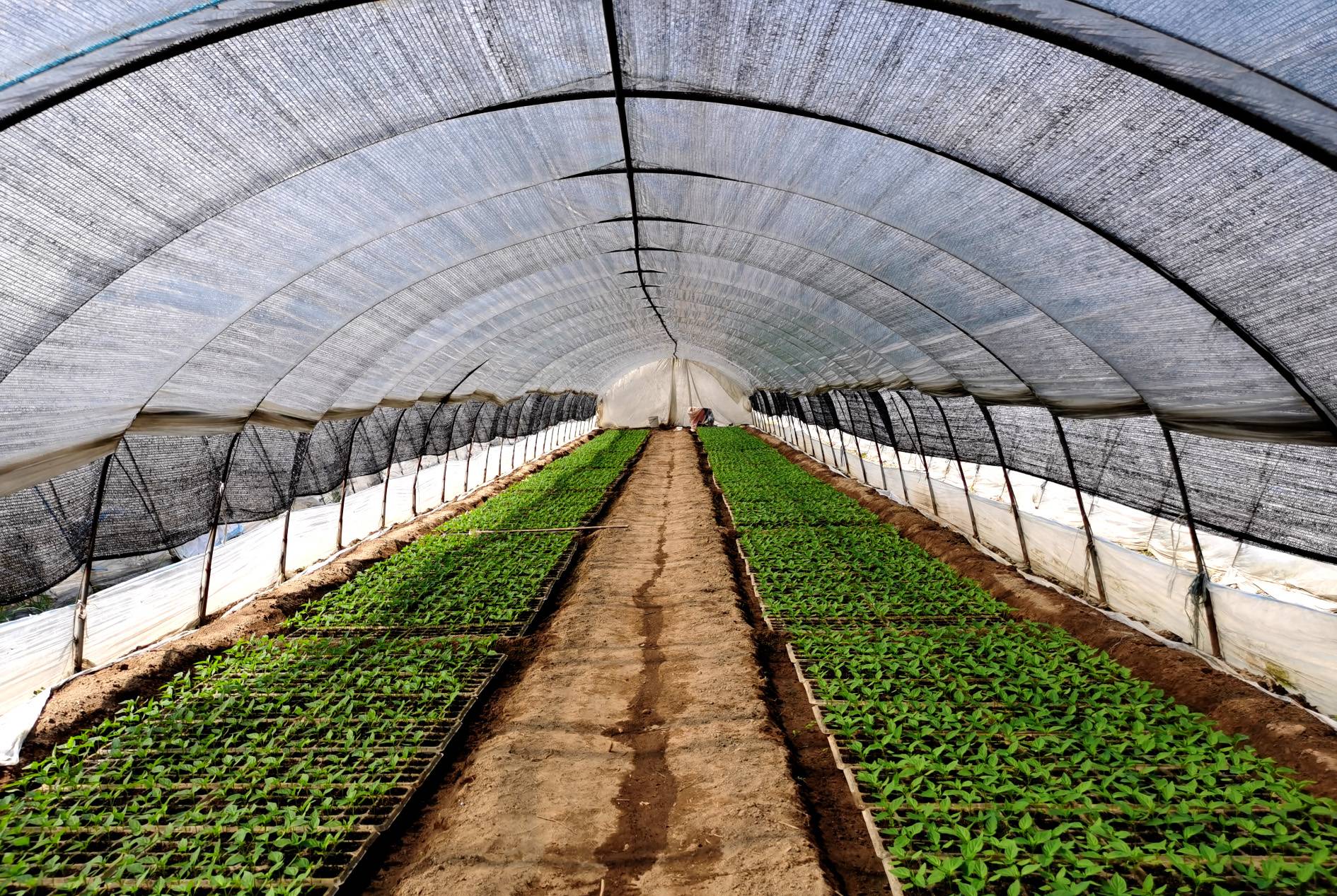 Greenhouse Shade Net