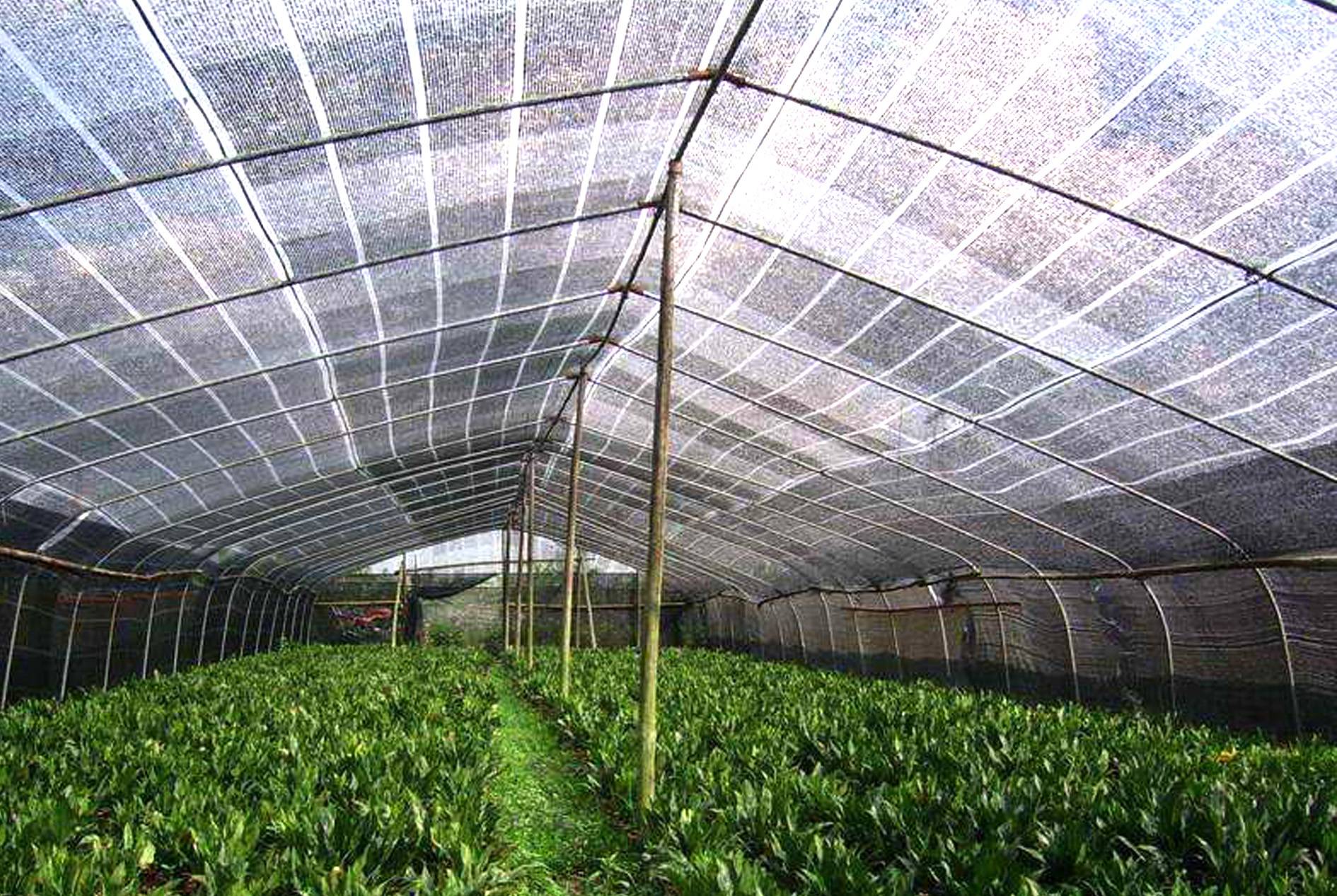 Tarpaulins
