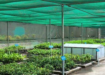 Guide to Tarpaulin
