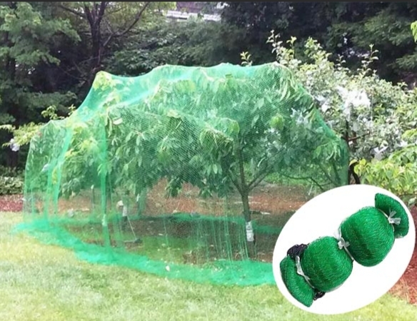 Guide to Tarpaulin