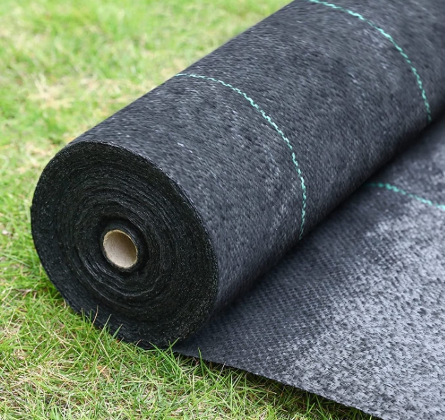 Guide to Tarpaulin